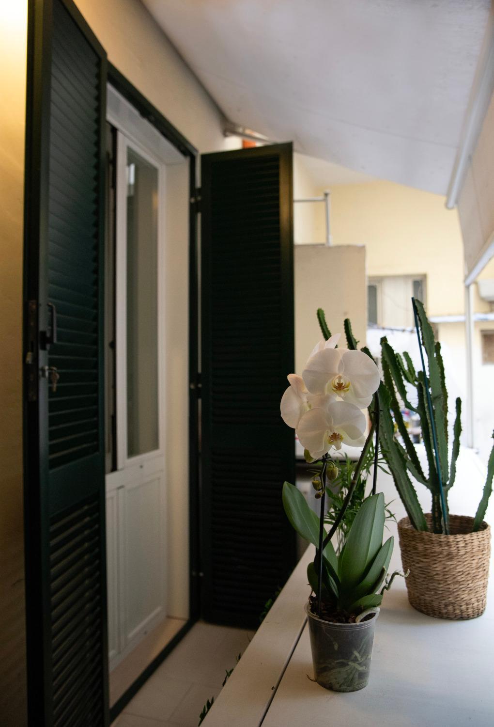 Apartmán House Domusella Řím Exteriér fotografie